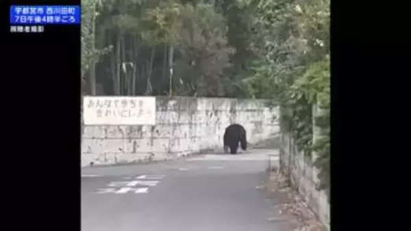 栃木・宇都宮市の中心部でクマ　驚いて逃げる人の様子がカメラに…中学校付近でも目撃　朝からパトロール再開へ