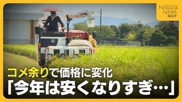 【新米】「今年は安くなりすぎ」例年の5倍の在庫抱える新潟の米店　新米価格は去年より約1000円安く…価格乱高下に生産者から不安の声も