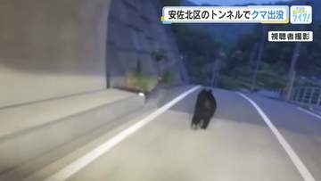 トンネルを爆走・フェンスを越えたクマの衝撃映像　広島・安佐北区で４月以降に約20件の目撃情報