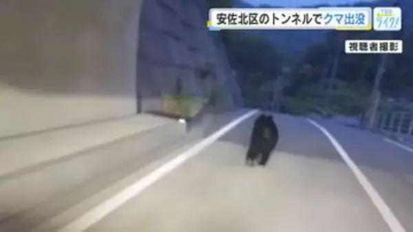 トンネルを爆走・フェンスを越えたクマの衝撃映像　広島・安佐北区で４月以降に約20件の目撃情報