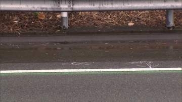 関越道で工事現場に車突っ込み2人死亡　イラン国籍の男を逮捕