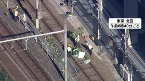 JR京浜東北線　倒木により一時全線で運転見合わせ　2時間後に再開も大幅な遅れ