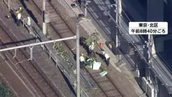 JR京浜東北線　倒木により一時全線で運転見合わせ　2時間後に再開も大幅な遅れ
