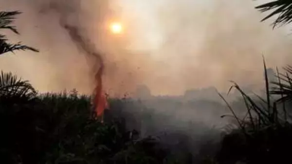 インドネシア森林火災　東京都の面積４倍以上が焼失　シンガポールやマレーシアにも大気汚染の影響拡大