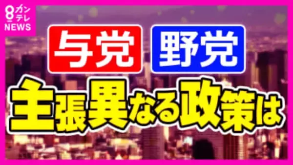 【自民・維新】与党が躍進なら「憲法改正」可能性高まるか「防衛費・外国人の土地取得規制」与野党で判断分かれた政策に注目【衆院選】
