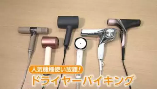 「乾かすだけじゃない！美容効果も進化 「ドライヤー」市場が拡大　旅館やスパで“試し放題”サービスも人気」の画像