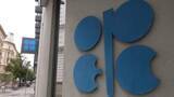 「ロシア含む「OPECプラス」が6月の原油生産量1日18万8000バレル増を決定　UAEのOPEC脱退後も影響力維持したい考え」の画像1