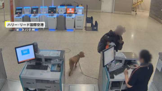 「信じられない」空港に置き去りにされた犬　飼い主の女逮捕　遺棄された犬は警察の家族が引き取る　ラスベガス