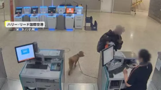 「信じられない」空港に置き去りにされた犬　飼い主の女逮捕　遺棄された犬は警察の家族が引き取る　ラスベガス