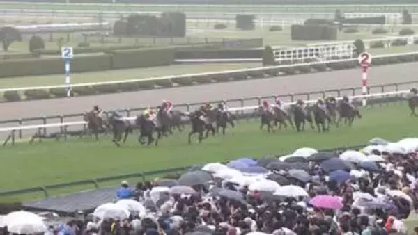 【牝馬クラシック開幕　桜花賞・G1】 2歳女王スターアニスが始動！桜の女王となるのは！？そして、今週の穴馬は…