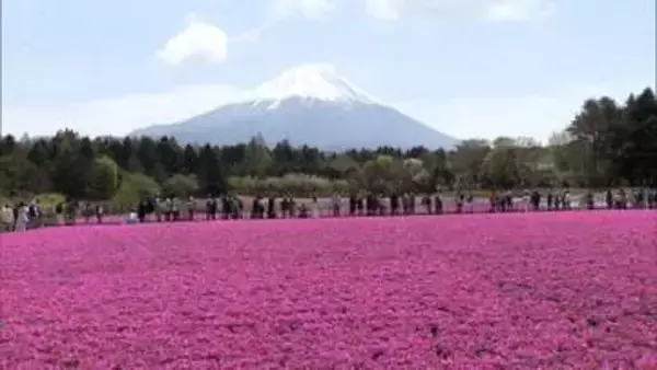 ゴールデンウィーク“谷間の平日”曇り空も絶景目当てに多くの人　「予定なし」4割…“コストコ商品”販売店は大人気　天候の変化には注意を