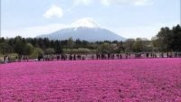 ゴールデンウィーク“谷間の平日”曇り空も絶景目当てに多くの人　「予定なし」4割…“コストコ商品”販売店は大人気　天候の変化には注意を