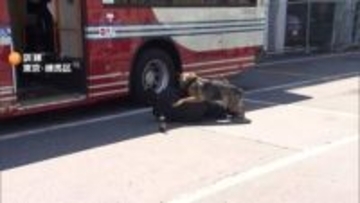 バスジャック想定したテロ対策訓練実施　警視庁の訓練犬など参加　東京・練馬区