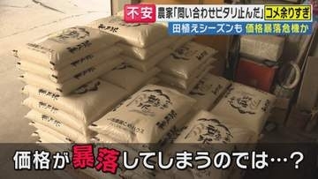 令和のコメ騒動から1年　今度はコメが余っている...去年の「コメ不足」から一転　コメ農家３重苦「需要減」「燃料費高騰」「袋代高騰」