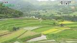 「約150年前の用水路建設から歴史を紡ぐ高千穂の絶景「栃又棚田」」の画像1