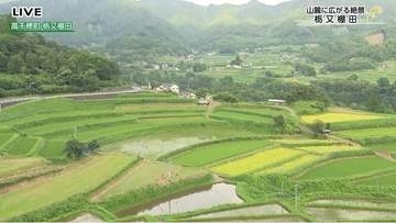 約150年前の用水路建設から歴史を紡ぐ高千穂の絶景「栃又棚田」
