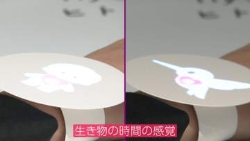 「時間の感覚」体感でタイパ向上へ　マイペース？タイプ診断も