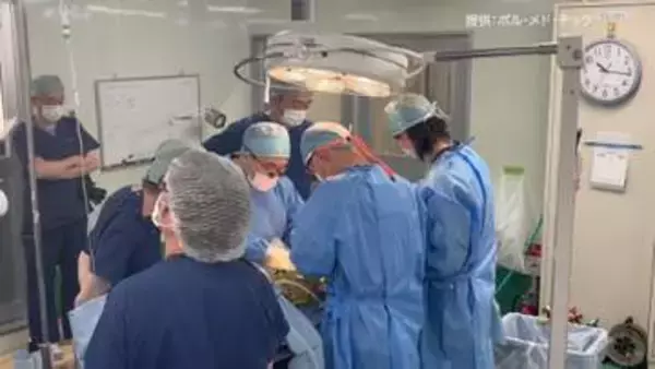 豚の腎臓を腎不全患者に「異種移植」　ベンチャー企業が国内初の治験実施へ　先行するアメリカで既に実施例