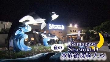 日中の暑さを避けて楽しむ「夜レジャー」　金曜日は最大午後9時まで延長する美術館も