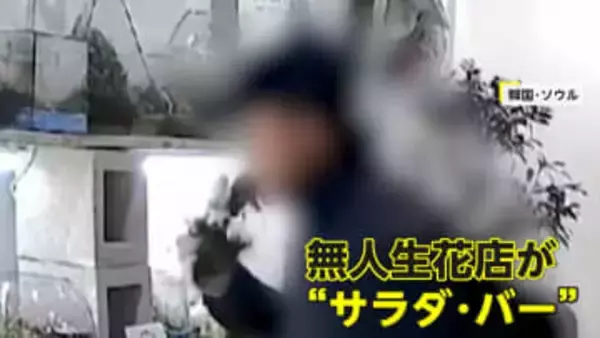 無人生花店で男が草花やコケをムシャムシャ…花瓶の水も飲み干す　3時間で店内は無残な姿に　韓国・ソウル