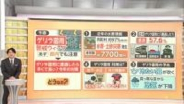 ゲリラ雷雨ことしは5月から要警戒　予兆は「真っ暗な雲」と「冷たい風」　傘は危険な場合も　“30分～1時間待つ”ことも検討を