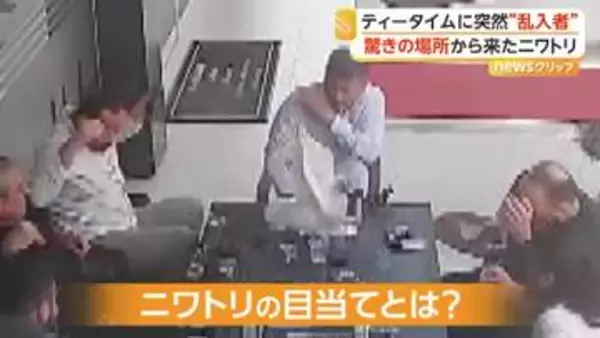 「空から降ってきた？」ニワトリが“ティータイム乱入”で騒然…「うちのニワトリが飛んでった」飼い主の声に爆笑　トルコ