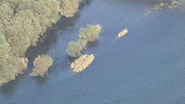 木曽川で25歳男性溺れ死亡　深い所で水深8m　愛知