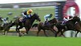 「【3歳牝馬頂上決戦 オークス・G1】牝馬2冠へ向かう桜の女王か、女性騎手初の快挙か　そして波乱を巻き起こす穴馬候補は…」の画像1