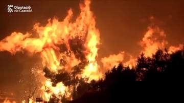 ヨーロッパで山火事拡大　仏・スペインで３７万人超避難　熱波と強風で延焼続く