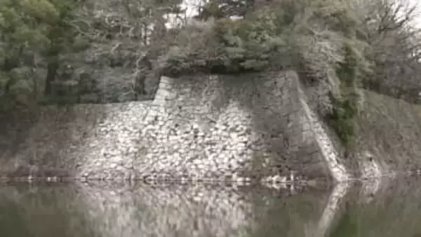 「雪が積もっているよう」名古屋城の石垣や木々が真っ白に　原因はお堀のボラを狙うカワウの大群が落としたフン　住民「追い払うわけにも」