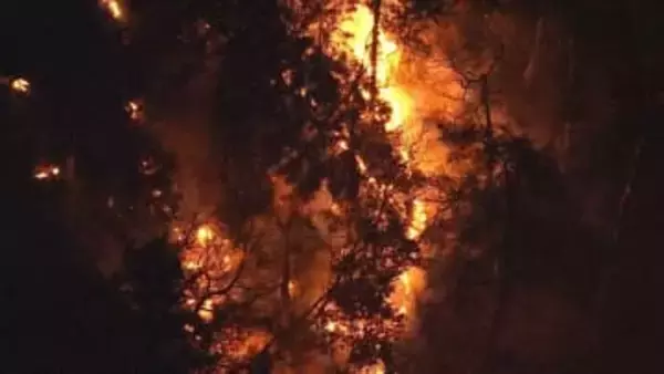 山梨･山林火災　発生から17日目｢鎮圧｣を発表　焼損面積は約396ヘクタール
