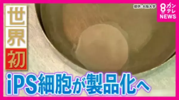 世界初「iPS細胞製品」実用化へ「心筋シート」と「パーキンソン病治療製品」　発表から20年の年に大躍進　京大・藤井教授「こういう投資ができる国は未来を掴むことができます」研究への投資にさらなる期待