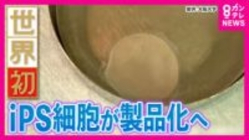 世界初「iPS細胞製品」実用化へ「心筋シート」と「パーキンソン病治療製品」　発表から20年の年に大躍進　京大・藤井教授「こういう投資ができる国は未来を掴むことができます」研究への投資にさらなる期待