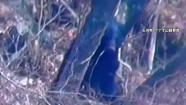 「“冬眠明けクマ”各地で相次ぎ目撃　「怖い…」子供乗る車の前で高速道路を横断する黒い巨体　北海道・石川・埼玉」の画像