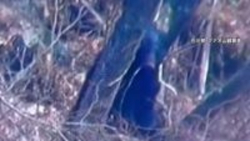 “冬眠明けクマ”各地で相次ぎ目撃　「怖い…」子供乗る車の前で高速道路を横断する黒い巨体　北海道・石川・埼玉