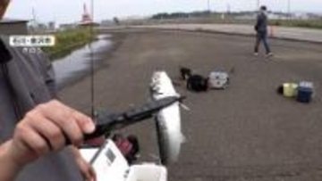 イワシ“入れ食い”スポットに多くの人　ゴールデンウィーク後半　混雑で“迷惑駐車”や“無断侵入”に困惑も