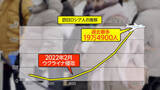 「「桜が見たいんです」日本観光ビザ求めロシアで大行列　「非友好国」指定も空前の“日本旅行ブーム”」の画像1