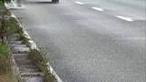 「原付バイクに車が追突しひき逃げか　原付バイクの74歳男性が意識不明で搬送も命に別条なし　逃げた車を捜査　群馬・太田市」の画像1