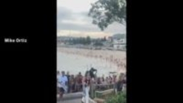 シドニーのビーチで銃撃テロ…16人死亡42人負傷　ユダヤ人を標的　犯人は50歳父親と24歳息子　オーストラリア