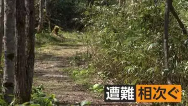 なぜタケノコ採りで遭難するのか？同じような景色で方向見失いやすい笹やぶの危険性　山菜採りの注意ポイント