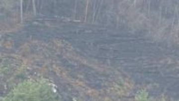 山林火災発生から1週間　一部地域の避難指示を解除　岩手・大槌町