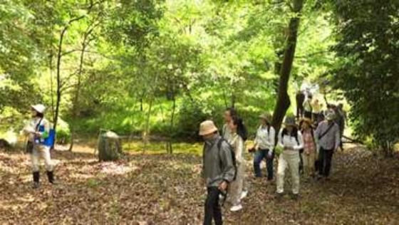 「みどりの日」皇居・吹上御苑で自然観察会　抽選で選ばれた参加者が専門家の説明を受けながら皇居の自然を楽しむ