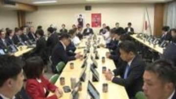 再審制度見直し「検察の抗告は原則禁止」へ　30時間超の激論経て再修正案を自民部会が了承