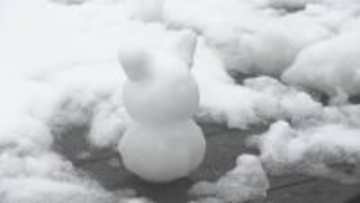 “30年に一度”渇水被害のダムに“恵みの雨”も底から69年前の“小学校跡地”出現　“ひな祭り寒気”草津で積雪14cm