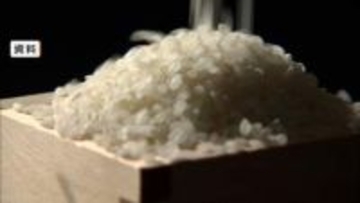 コメ価格向こう3カ月見通しは「安くなる」が依然優勢　スーパー価格も3700円台　新米出回る前に在庫放出の動き