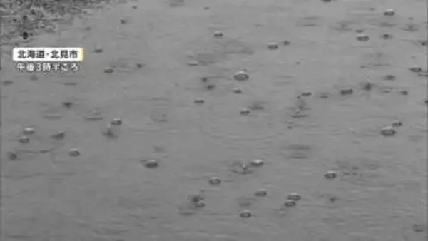 北海道・陸別町付近に「記録的短時間大雨」　陸別町、士幌町、新得町に「レベル4土砂災害危険警報」　東北中心に13日かけて大雨続く見込み