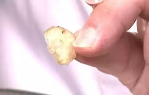 小さ過ぎるポテトチップも　“ジャガイモ不作”で小ぶりに…メーカーから悲鳴　店頭でも値上がり　2025年の猛暑と少雨が生産地･北海道を直撃