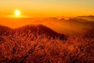 いくつ知っている？ 意外に感じる「冬至」の“真実”　実は、日の出が「最も遅い日」でも日の入りが「最も早い日」でもない…気象予報士が解説