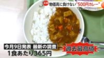 「カレーライス物価」51カ月連続で上昇…1食365円で過去最高値更新　キーマカレーがタイパ・コスパ抜群とレシピ検索サイトで一番人気