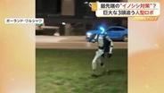 話題のインフルエンサー“人型ロボット”が巨大イノシシ追い払う　市街地で買い物やバス乗車、議会を訪れる姿も　ポーランド